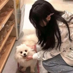 画江山手游官方下载